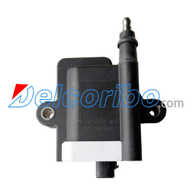 CNG 1698-1231, 16981231 Ignition coil
